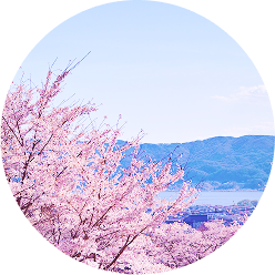 altを入れる