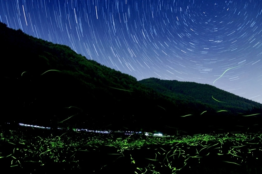 （写真：©辰野町観光協会）