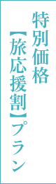 公式サイト最安★特別価格【旅応援割】プラン