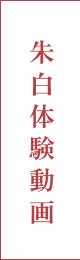 朱白体験動画