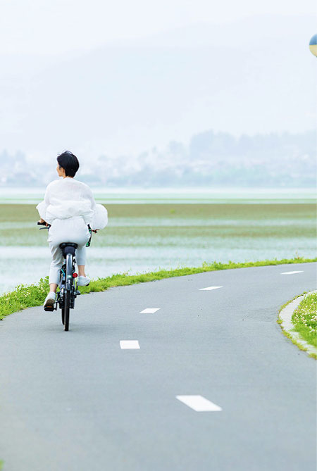 湖沿いのサイクリングロードを自転車で走る人物の後ろ姿