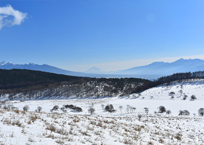 霧ヶ峰